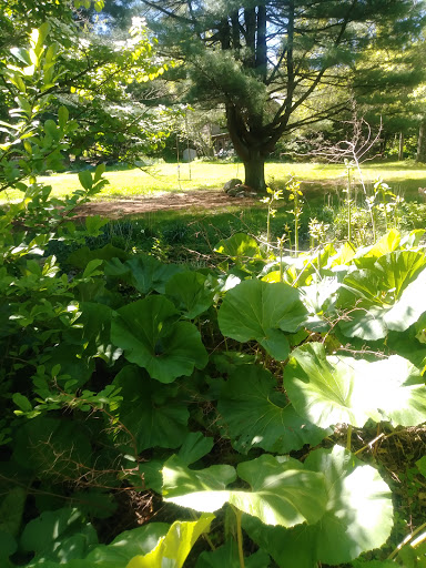 Gift Shop «Stonehedge Gardens», reviews and photos, 51 Dairy Rd, Tamaqua, PA 18252, USA