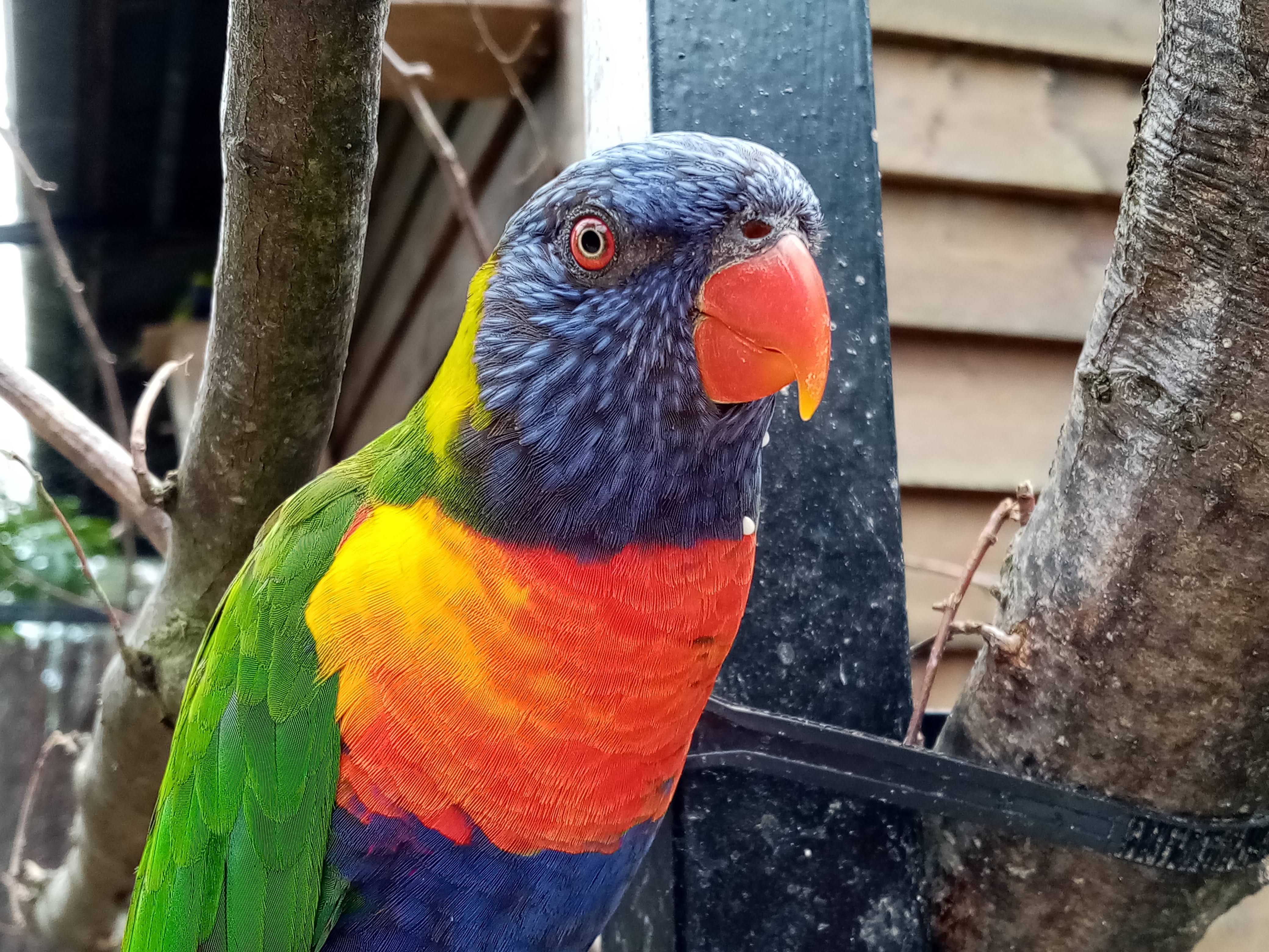 Photo n° 9 de l'avis de Marielaure.a fait le 25/07/2023 à 19:08