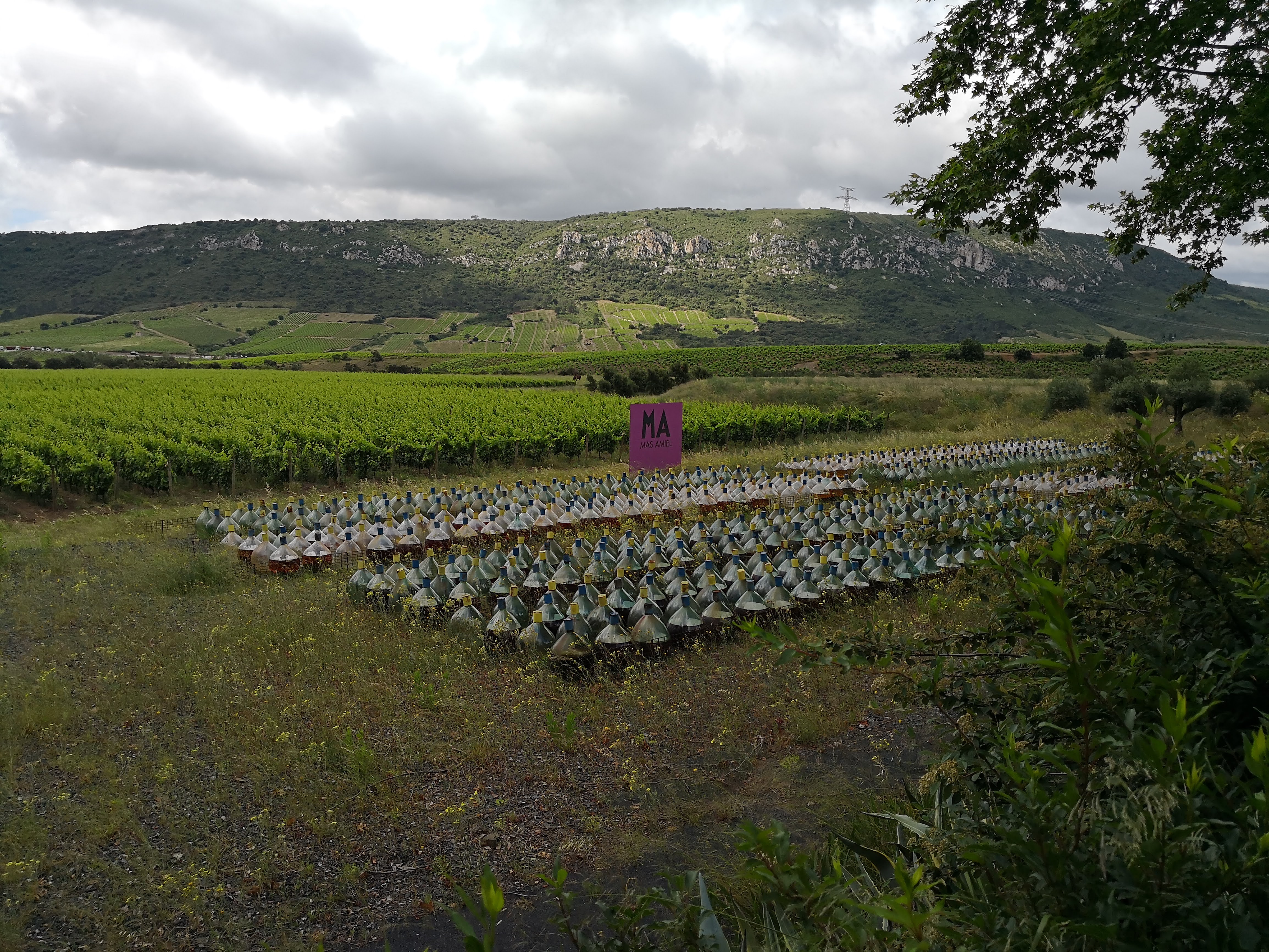 Photo n° 1 de l'avis de Manuel.a fait le 13/06/2018 à 08:57