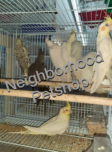 Pet Supply Store «Neighborhood Pet Shop», reviews and photos, 574 Hialeah Dr, Hialeah, FL 33010, USA