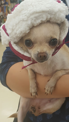 Pet Supply Store «Petco Animal Supplies», reviews and photos, 1 US-46, Totowa, NJ 07512, USA