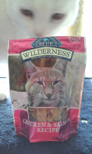 Pet Supply Store «Petco Animal Supplies», reviews and photos, 2420 Eastern Blvd, York, PA 17402, USA