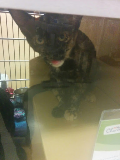 Pet Supply Store «PetSmart», reviews and photos, 4180 US-1, Monmouth Junction, NJ 08852, USA