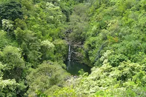 Garden of Eden Arboretum image