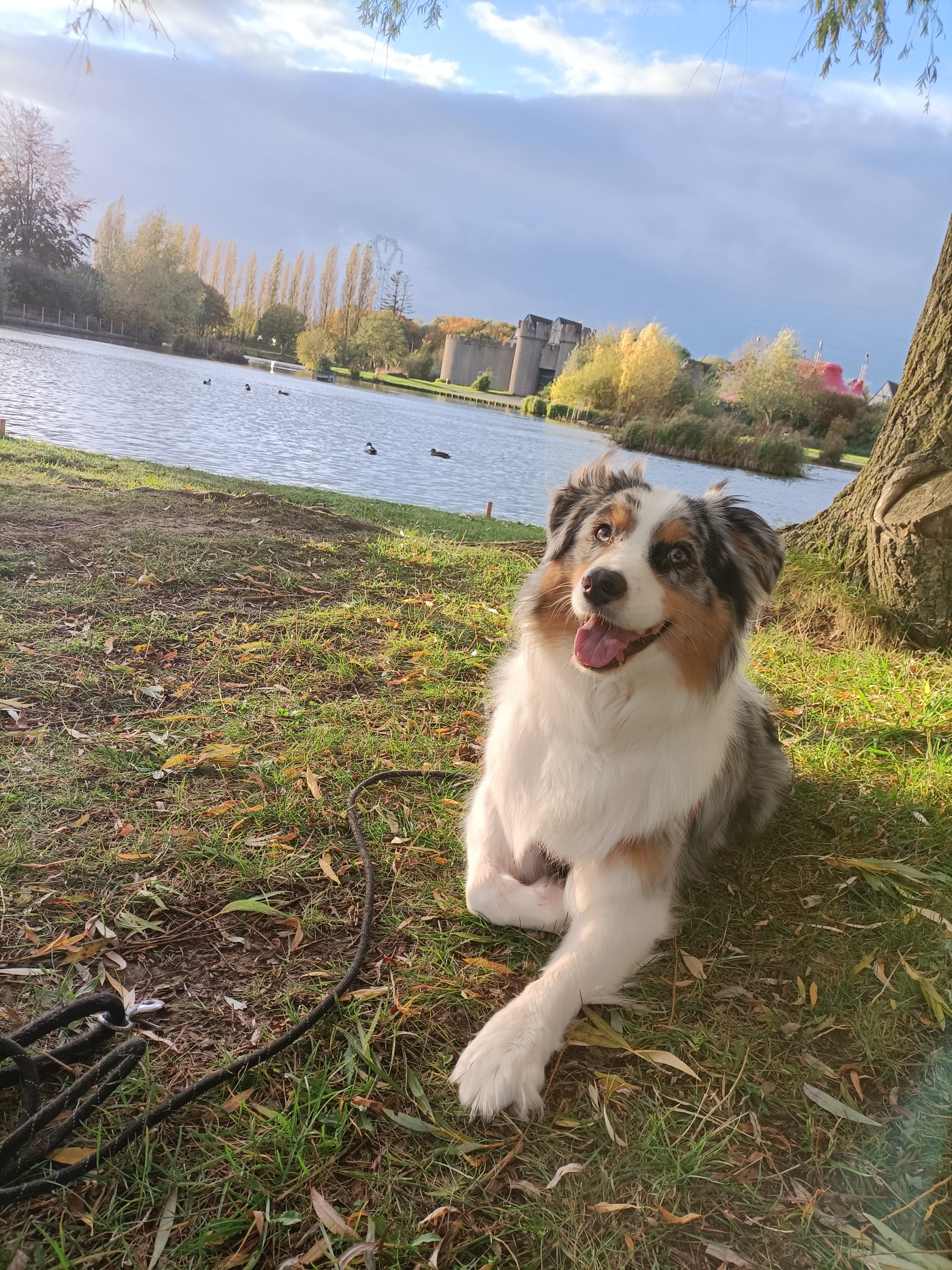 Photo n° 4 de l'avis de Kandji.R fait le 05/11/2023 à 21:02