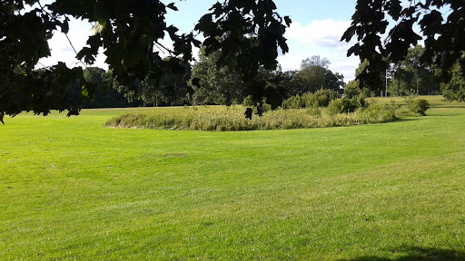 Park «Branch Brook Park», reviews and photos, Lake St & Park Avenue, Newark, NJ 07104, USA