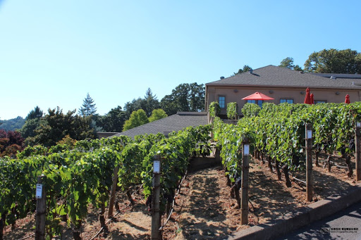 Winery «Archery Summit Winery», reviews and photos, 18599 NE Archery Summit Rd, Dayton, OR 97114, USA