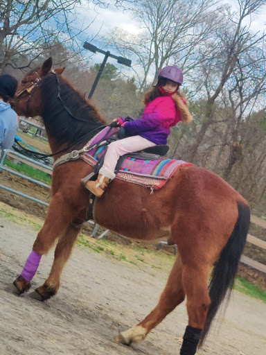 Tourist Attraction «C and L Stables», reviews and photos, 1095 Ives Rd, East Greenwich, RI 02818, USA