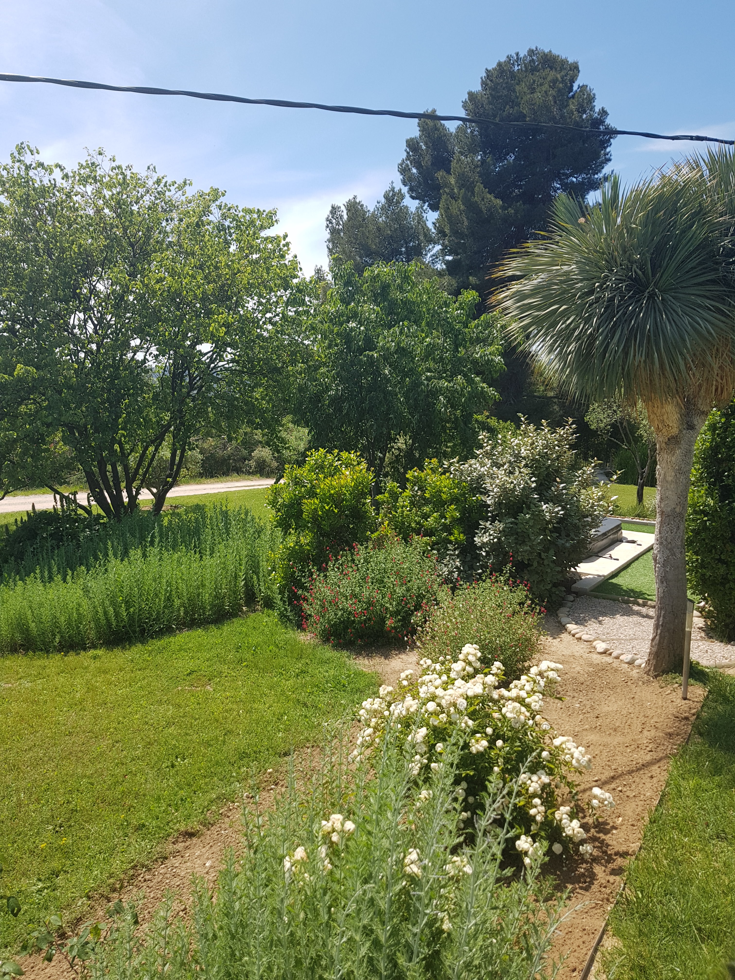 Photo n° 6 de l'avis de Julien.A fait le 29/05/2021 à 19:53