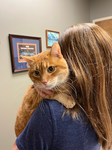 Vulcan Park Animal Care: Raymond George DVM image