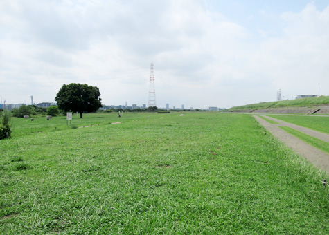 淀川河川公園 大塚地区