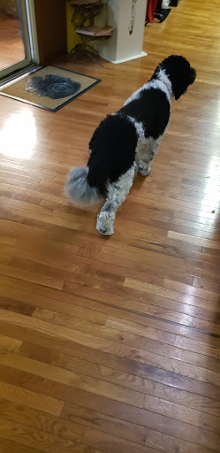 Cigar Shop «Sidetrack Tobacco», reviews and photos, 523 State St a, Bristol, VA 24201, USA