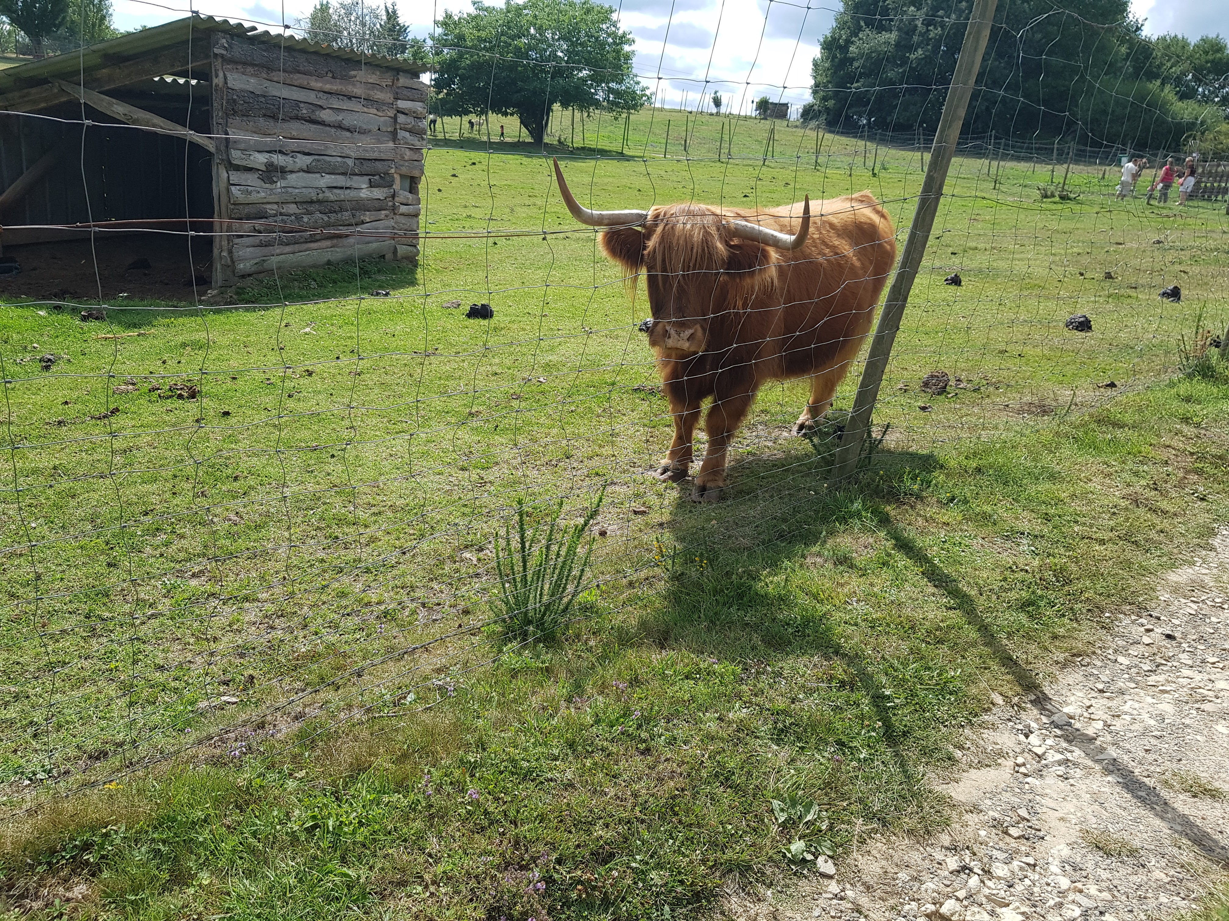 Photo n° 6 de l'avis de Gribs. fait le 13/08/2017 à 17:24