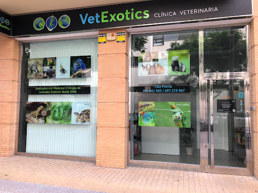 Vetexotics - Veterinario Animales Exóticos Jerez en Jerez de la Frontera