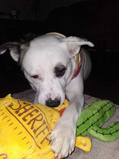 Non-Profit Organization «Better Business Bureau of Central Oklahoma», reviews and photos