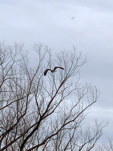 Nature Preserve «Marais Temps Clair Conservation Area», reviews and photos, 5134 Island Road, St Charles, MO 63301, USA