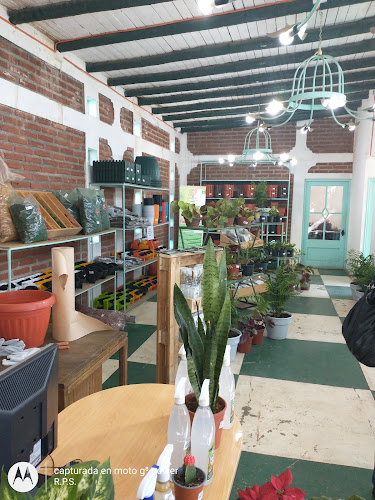 Opiniones de Vivero Happy Green en Requínoa - Centro de jardinería