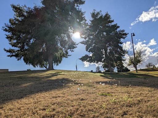 Harmony Hollow Park