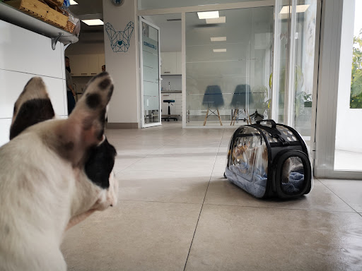 Clínica Veterinaria Mamut en Marbella