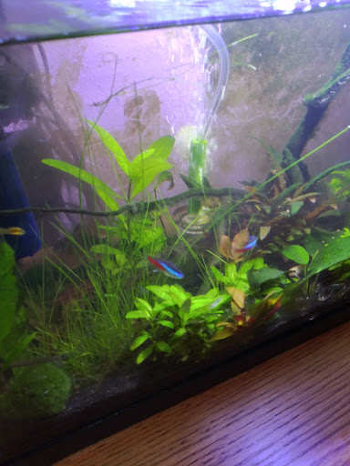 Pet Supply Store «Petco Animal Supplies», reviews and photos, 1150 Concord Ave #160, Concord, CA 94520, USA