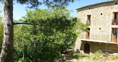 Domaine Capitelle des Salles / Estelle et Frédéric à Saint-Jean-de-la-Blaquière