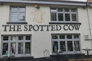 Spotted Cow image