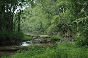 Ruth Kern Woodland Preserve - ACRES Land Trust image