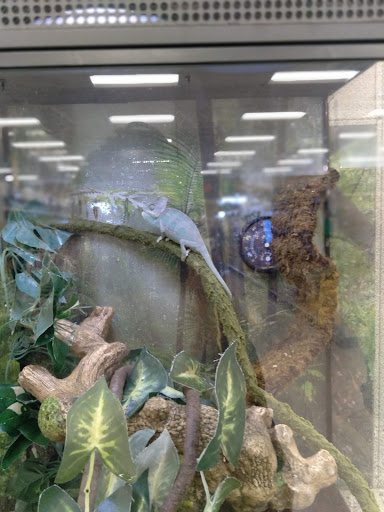 Pet Supply Store «PetSmart», reviews and photos, 6251 N Davis Hwy, Pensacola, FL 32504, USA