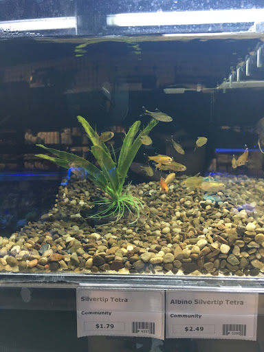 Pet Supply Store «Fish Room», reviews and photos, 1259 Kildaire Farm Rd, Cary, NC 27511, USA