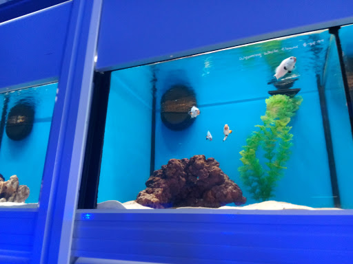 Barber Shop «Southland Barber Styling Shop», reviews and photos, 983 W State Rd 84, Fort Lauderdale, FL 33315, USA