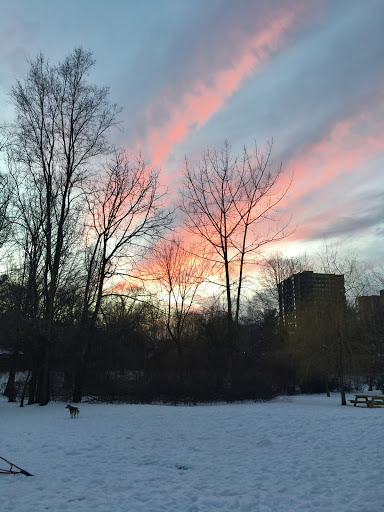 Park «Griggs Park», reviews and photos, 33 Griggs Rd, Brookline, MA 02446, USA