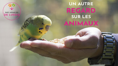 Parc animalier de Lussas à Lussas