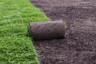 Complete Sod Lawns and Landscaping