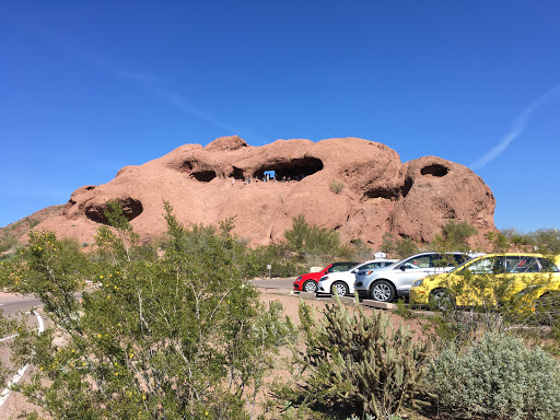 Zoo «Phoenix Zoo», reviews and photos, 455 N Galvin Pkwy, Phoenix, AZ 85008, USA