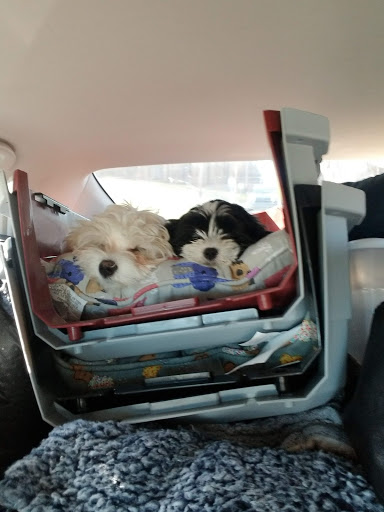 Pet Supply Store «PetPeople», reviews and photos, 4631 Everhard Rd NW, Canton, OH 44718, USA