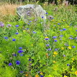 Photo n°28 de l'avis de Angelique.e fait le 10/08/2021 à 07:50 sur le  Berghaus Winterberg à Winterberg