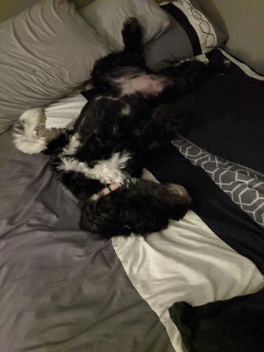 Pet Supply Store «Petco Animal Supplies», reviews and photos, 450 N Rte 17, Paramus, NJ 07652, USA