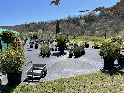 Kstor Plants pépinière à Milhars