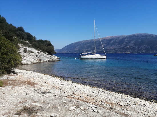 Piglet Bear Bay