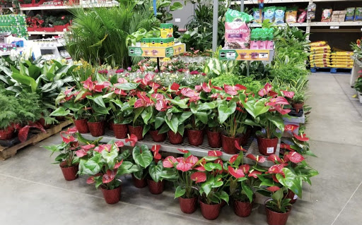 Home Improvement Store «The Home Depot», reviews and photos, 12131 Beach Blvd, Stanton, CA 90680, USA