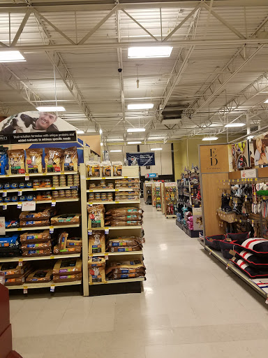 Pet Supply Store «PetSmart», reviews and photos, 79375 CA-111, La Quinta, CA 92253, USA