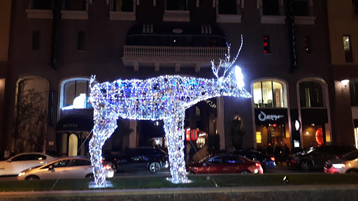 Patisserie «Cocola Bakery», reviews and photos, 333 Santana Row #1045, San Jose, CA 95128, USA