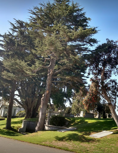 Memorial Park «Cypress Lawn Funeral Home & Memorial Park», reviews and photos, 1370 El Camino Real, Colma, CA 94014, USA
