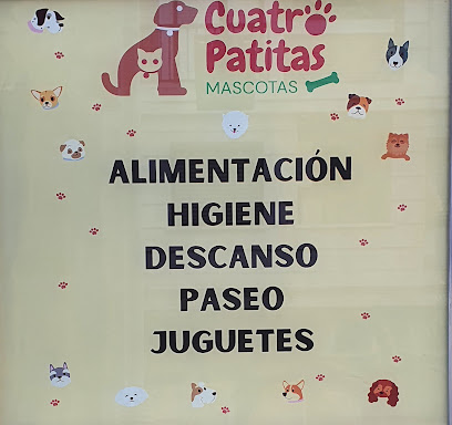 Cuatro patitas peluqueria de mascotas - Servicios para mascota en Castro-Urdiales