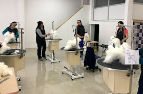 Cursos de Peluquería Canina | Escuela Claudia Rodriguez