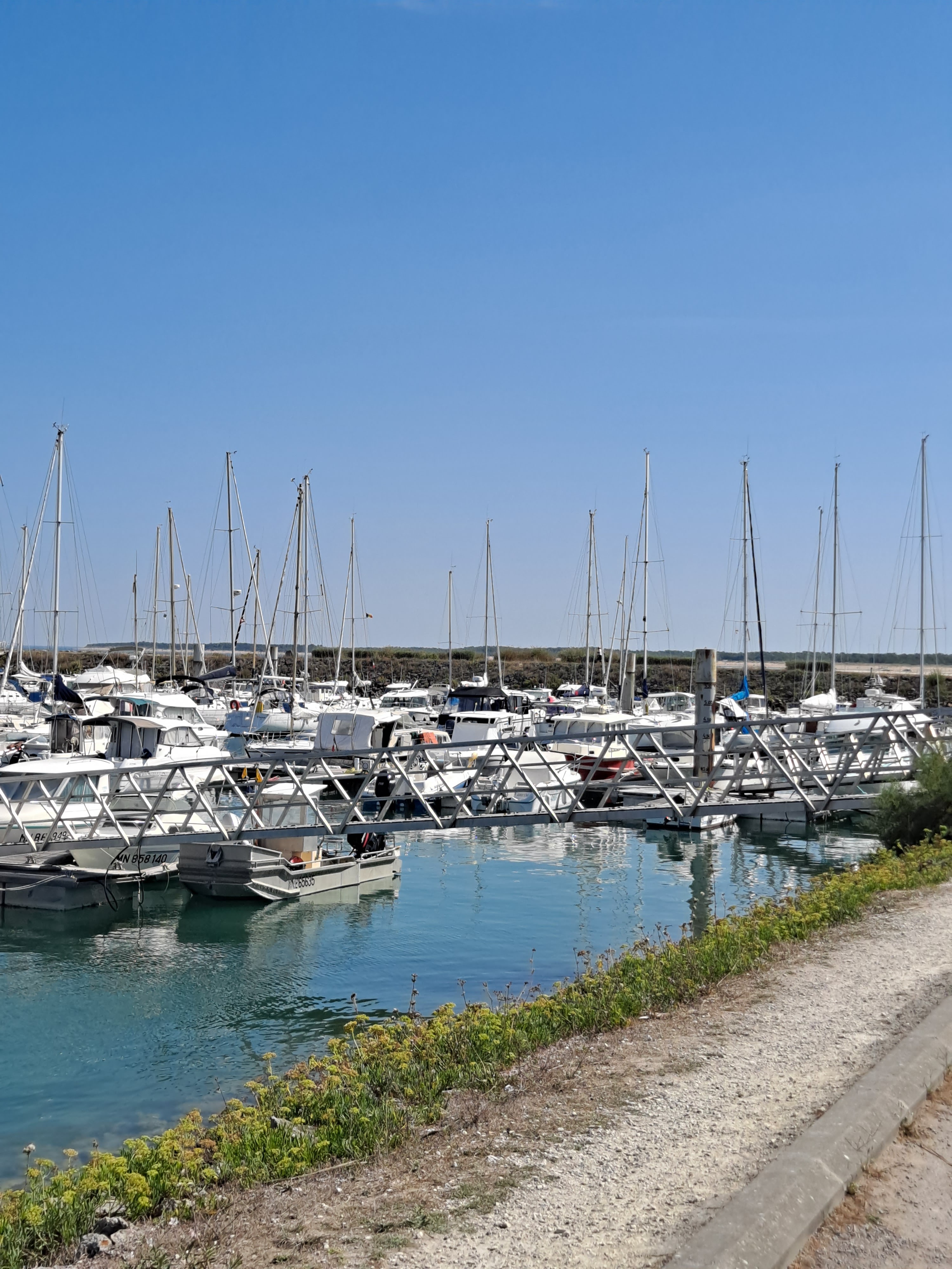 Photo n° 2 de l'avis de Marie.i fait le 09/09/2023 à 16:23