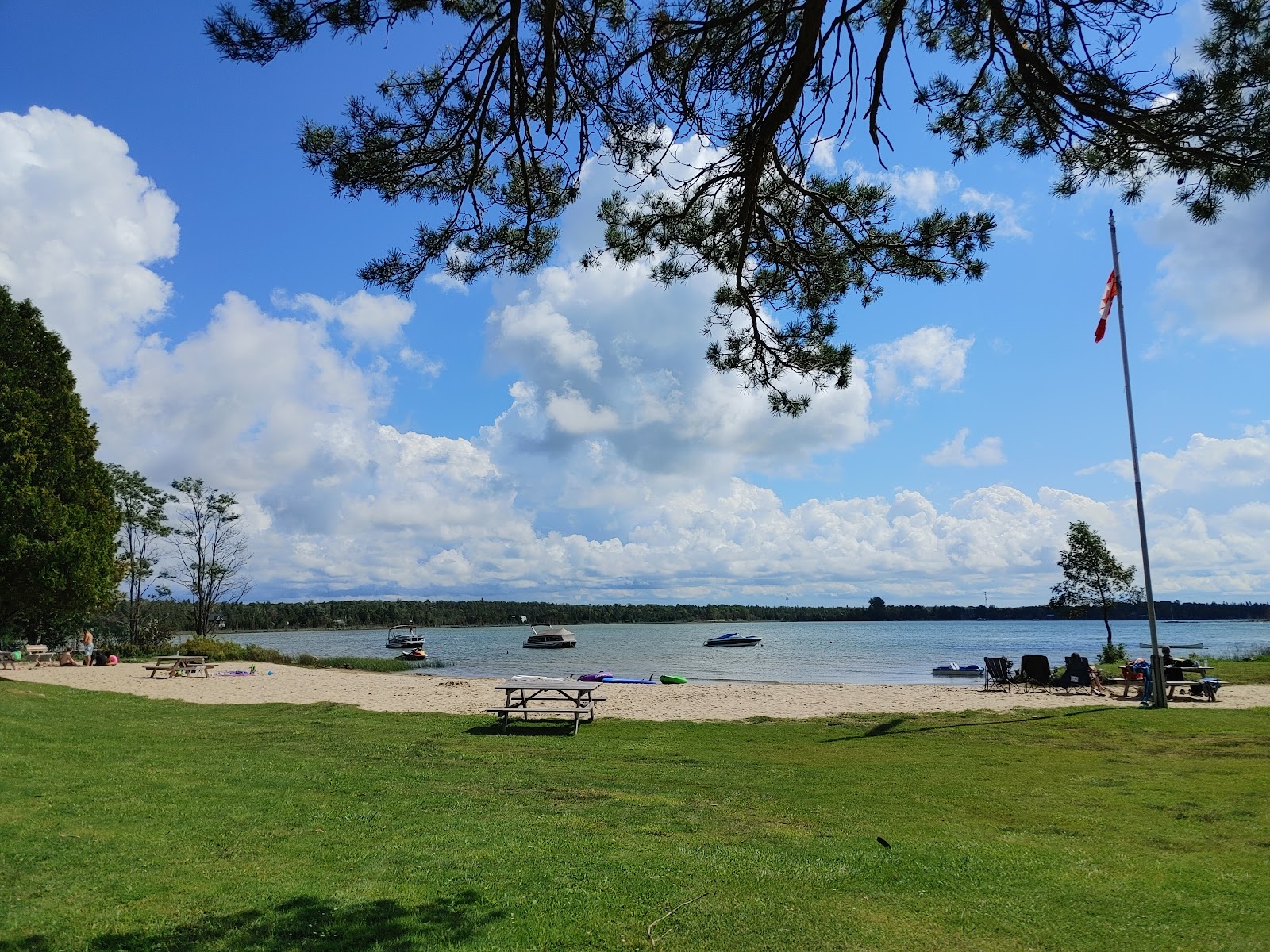 Foto de Howdenvale Beach con césped superficie