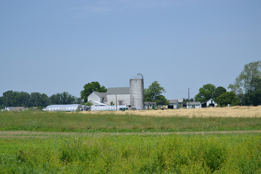 Produce Market «Solly Brothers», reviews and photos, 707 Almshouse Rd, Warminster, PA 18974, USA