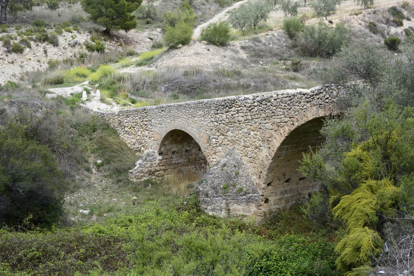 Puente de Hellín (Puente Romano)