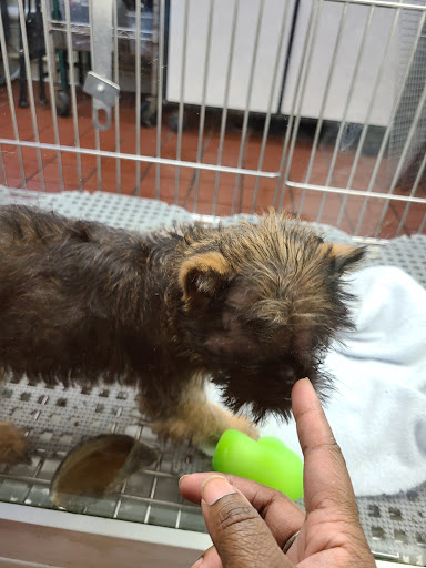 Pet Store «Pets Plus Inc», reviews and photos, 2610 Jefferson Davis Hwy, Stafford, VA 22554, USA